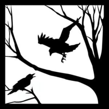Vimeo profile picture for @crow