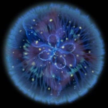 Vimeo profile picture for @hemisphere