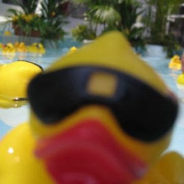 Vimeo profile picture for @duck