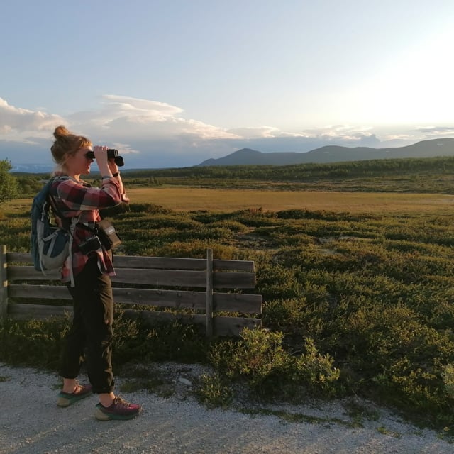 Link to Karin Lillevold