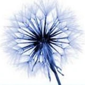 Vimeo profile picture for @scientific