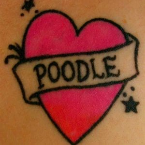 Profile picture for Noelle Elia
