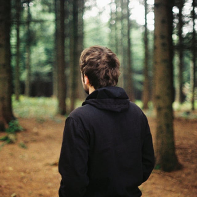 Фото парня со спины в лесу