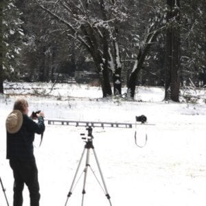 Profile picture for John Hally