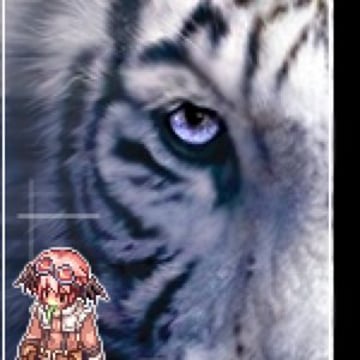 Vimeo profile picture for @tiger