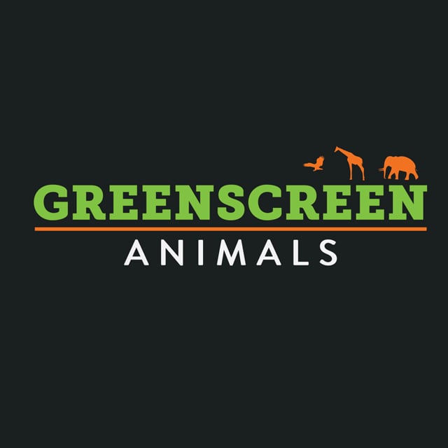 all animals green screen
