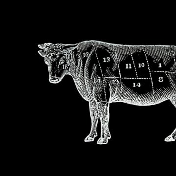 Vimeo profile picture for @butchers