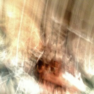 Profile picture for Fulgencio Martinez