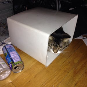 Profile picture for Milisa