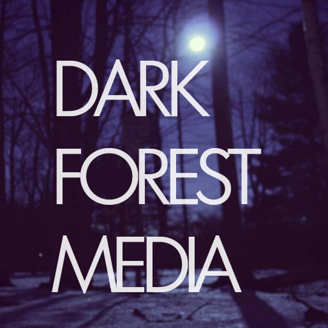 The forest in the dark corporate прохождение