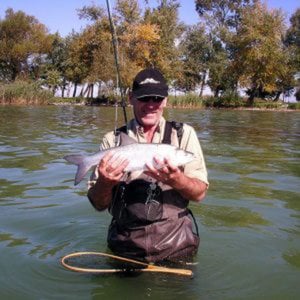 Profile picture for Mike Heritage