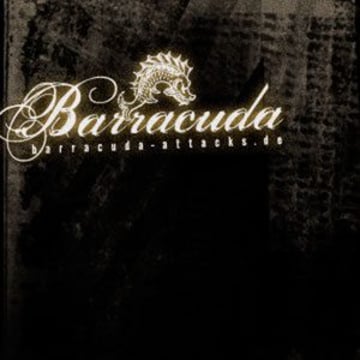 Vimeo profile picture for @barracuda