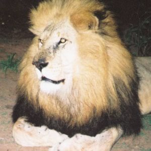 Profile picture for Gary Joseff