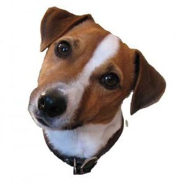 Vimeo profile picture for @stamper