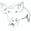 Trufflepig Films