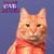 Orange Cat Blues