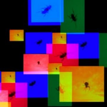Techno Kunst Autor
