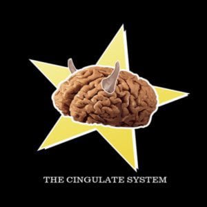 Profile picture for The Cingulate System