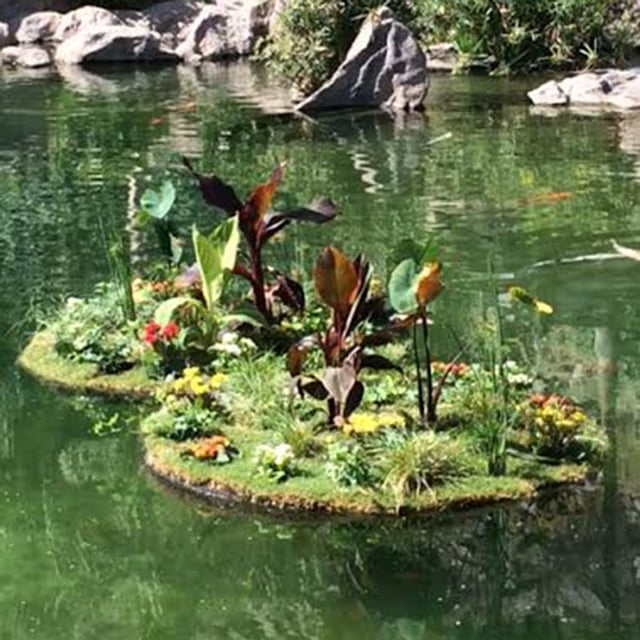 Floating Islands West