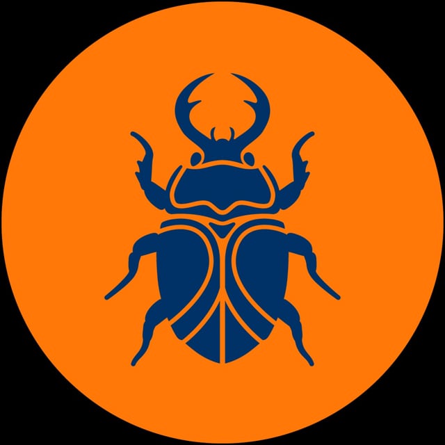 Beetle Studio - 2D Animator, Art Director & Motion Designer
