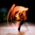 Retina Dance Company