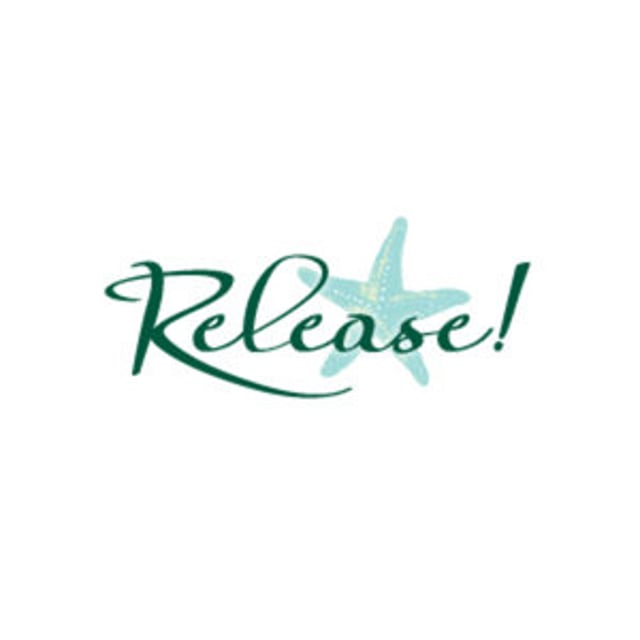 release please action prerelease