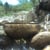 Evolution's Waves Singing bowl