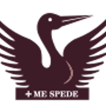 Vimeo profile picture for @stamford