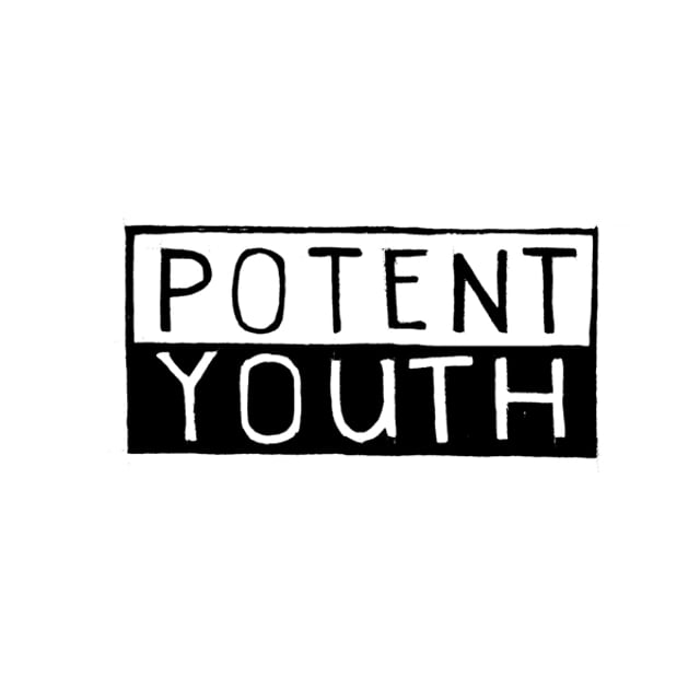 wltoys potent