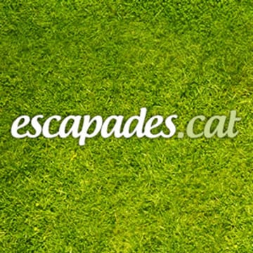 Vimeo profile picture for @escapades