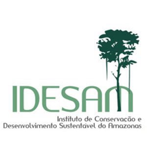 Resultado de imagem para Idesam