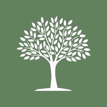 Vimeo profile picture for @owm