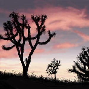 Profile picture for Tori Larson