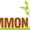 Common Ground Project