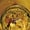 goldendove77
