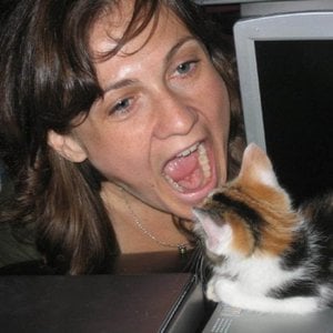 Profile picture for Meghan O'Neill