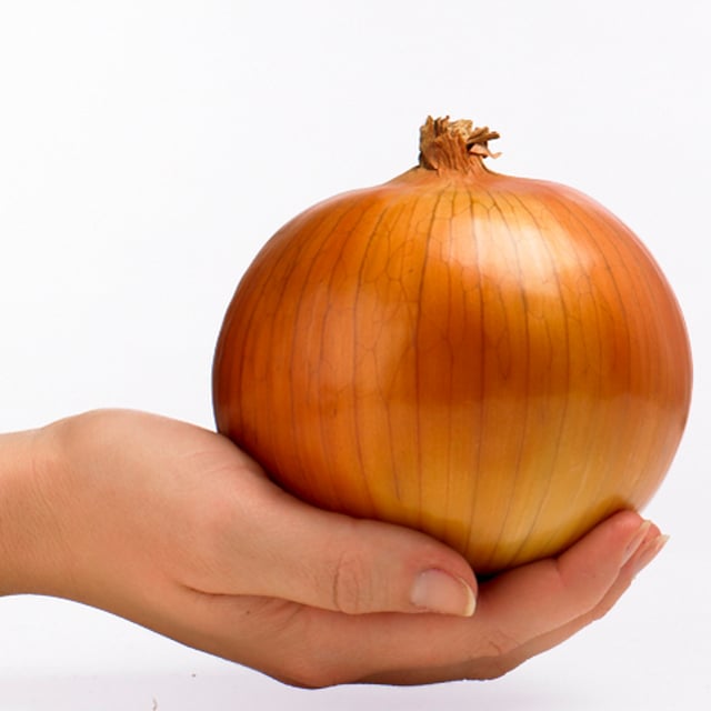 Moulton Bulb Co. Ltd