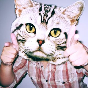 Vimeo profile picture for @showbiz