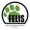 Felis Creations