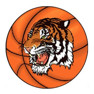 Profile picture for Taunton Tigers