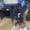 FromZero2HD