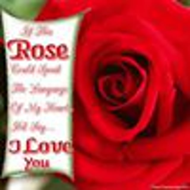 I miss you. I had you a rose. I had you a rose. My love is like a red red rose. Poison every rose has its thorn.