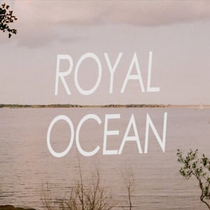 Profile picture for The Royal Ocean Film Society
