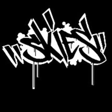 Vimeo profile picture for @skies