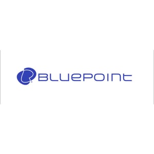 bluepoint swimwear
