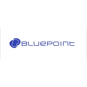 bluepoint swimwear