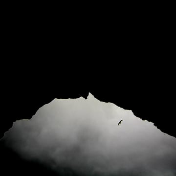Vimeo profile picture for @merci