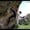 Flubber Variation 8a+, Adam Crizzle, Frankenjura on Vimeo