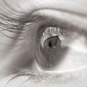 Profile picture for Adam Raimond