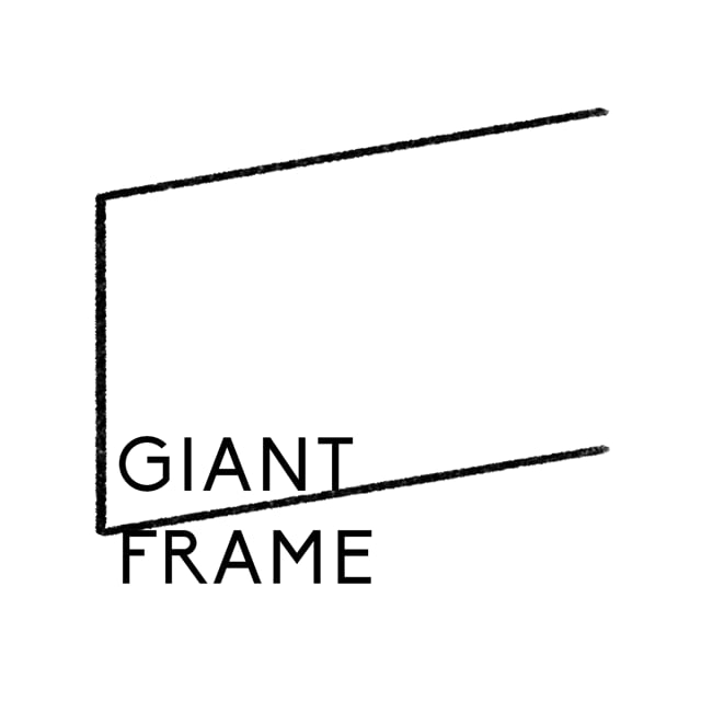 giant m size frame